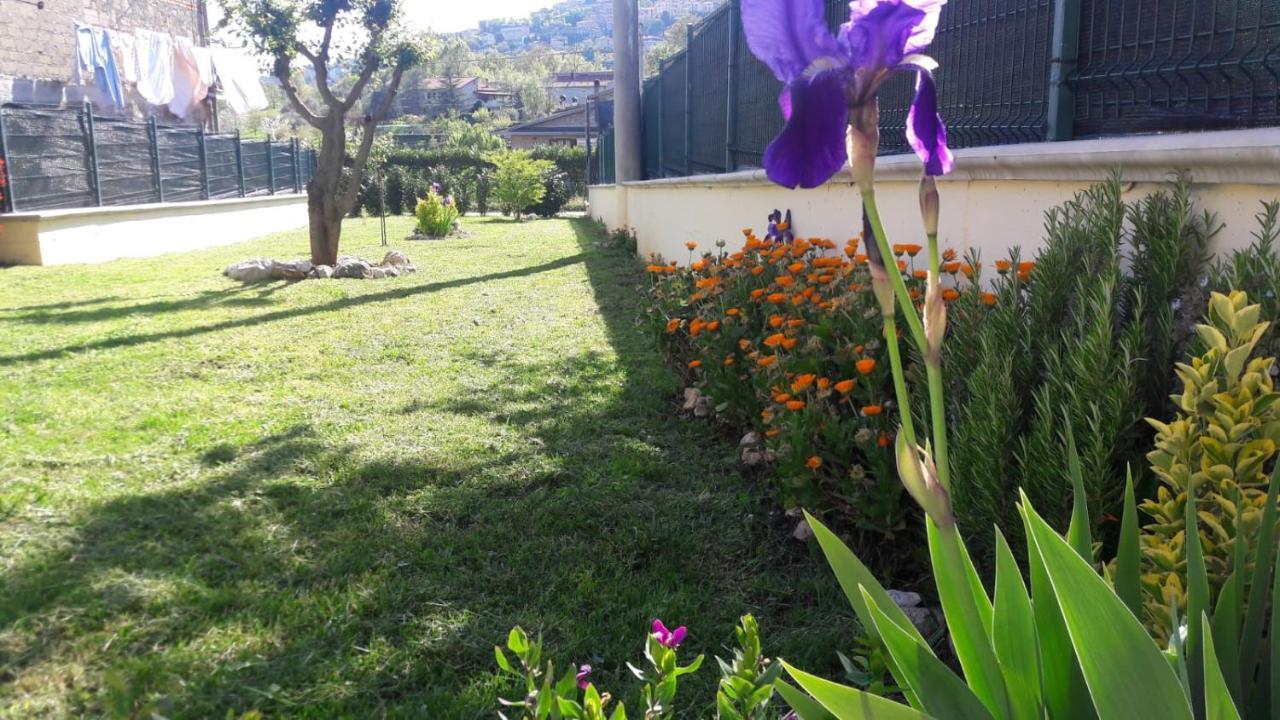 La Casina gialla Villa Veroli Esterno foto