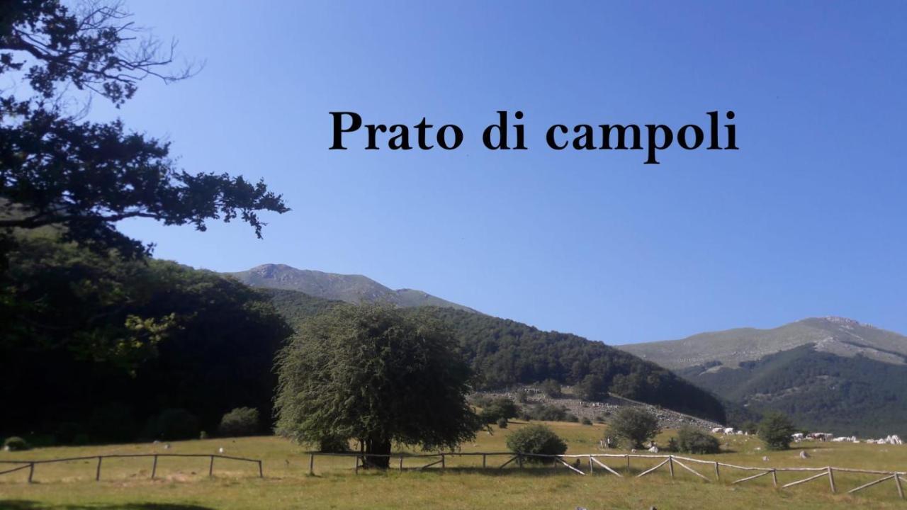 La Casina gialla Villa Veroli Esterno foto